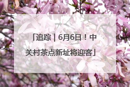 追踪｜6月6日！中关村茶点新址将迎客