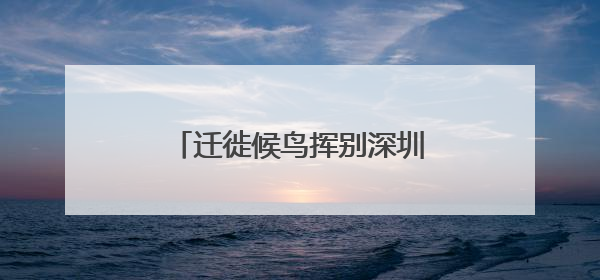 迁徙候鸟挥别深圳北归：单日监测数量最高突破2万只