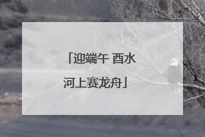 迎端午 酉水河上赛龙舟