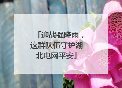 迎战强降雨，这群队伍守护湖北电网平安