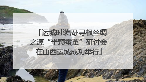 运城时装周·寻根丝绸之源“半颗蚕茧”研讨会在山西运城成功举行