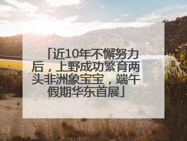 近10年不懈努力后，上野成功繁育两头非洲象宝宝，端午假期华东首展