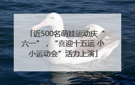近500名萌娃运动庆“六一”，“喜迎十五运 小小运动会”活力上演