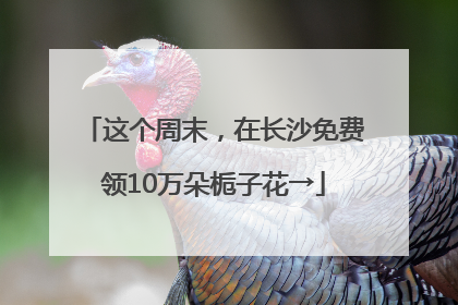 这个周末，在长沙免费领10万朵栀子花→