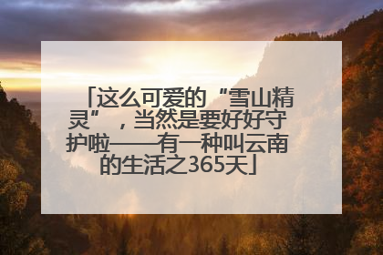这么可爱的“雪山精灵”，当然是要好好守护啦——有一种叫云南的生活之365天