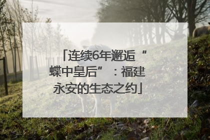 连续6年邂逅“蝶中皇后”：福建永安的生态之约