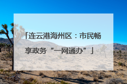 连云港海州区：市民畅享政务“一网通办”