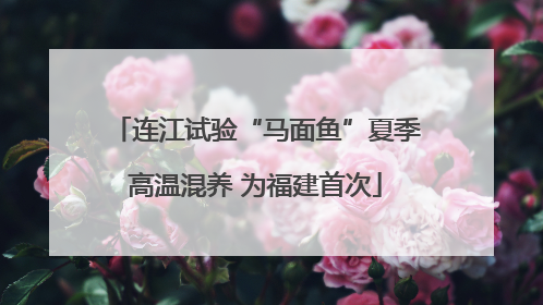 连江试验“马面鱼”夏季高温混养 为福建首次