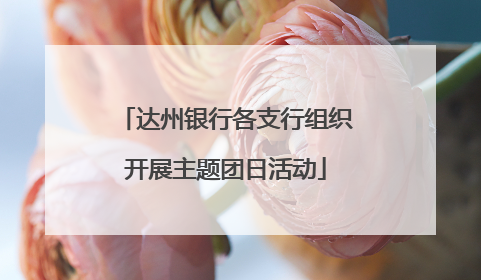 达州银行各支行组织开展主题团日活动
