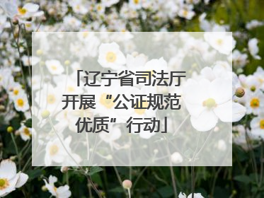 辽宁省司法厅开展“公证规范优质”行动
