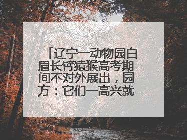 辽宁一动物园白眉长臂猿猴高考期间不对外展出，园方：它们一高兴就喜欢鸣叫，怕影响考试