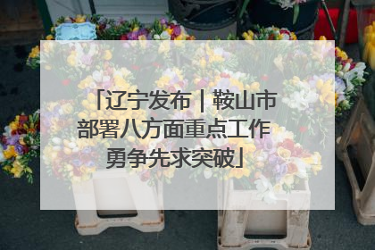辽宁发布｜鞍山市部署八方面重点工作勇争先求突破