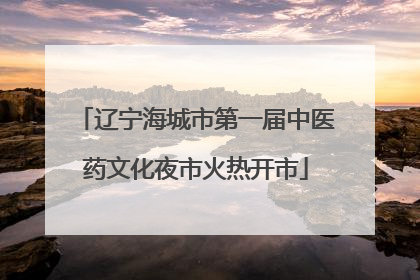 辽宁海城市第一届中医药文化夜市火热开市