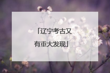 辽宁考古又有重大发现