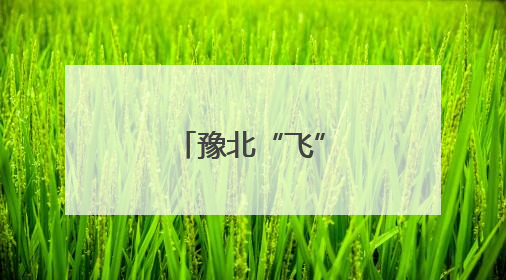 豫北“飞”来后备尖兵