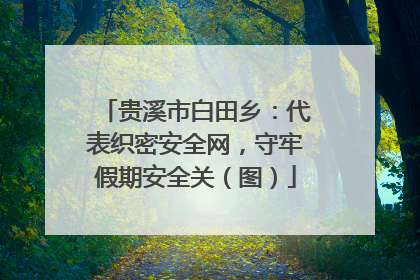 贵溪市白田乡：代表织密安全网，守牢假期安全关（图）