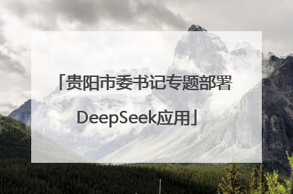 贵阳市委书记专题部署DeepSeek应用