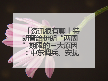 资讯很有聊丨特朗普给伊朗“两周”期限的三大原因：中东调兵、安抚国内、个人习惯