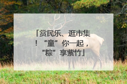 赏民乐、逛市集!“童”你一起,“粽”享紫竹