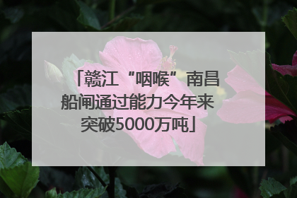 赣江“咽喉”南昌船闸通过能力今年来突破5000万吨
