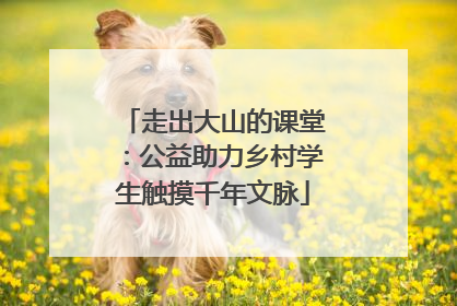 走出大山的课堂：公益助力乡村学生触摸千年文脉