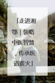 走进湘鄂｜领略中医智慧，传承医道薪火