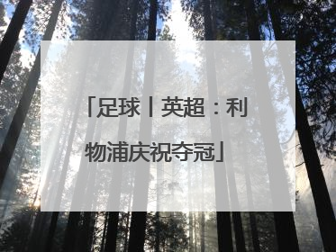 足球丨英超：利物浦庆祝夺冠