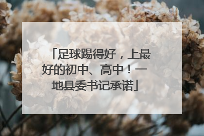 足球踢得好，上最好的初中、高中！一地县委书记承诺