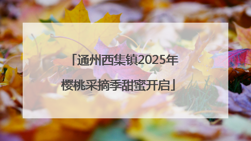 通州西集镇2025年樱桃采摘季甜蜜开启