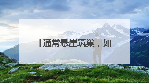 通常悬崖筑巢，如今首钢园安家！还孵出10只萌宝宝