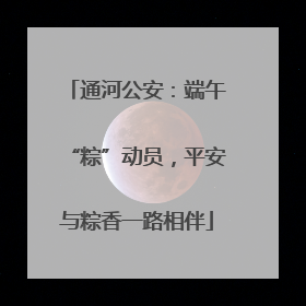 通河公安：端午“粽”动员，平安与粽香一路相伴