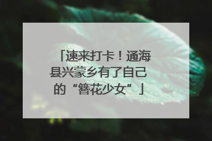 速来打卡！通海县兴蒙乡有了自己的“簪花少女”