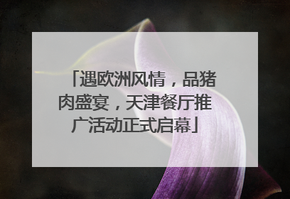 遇欧洲风情，品猪肉盛宴，天津餐厅推广活动正式启幕