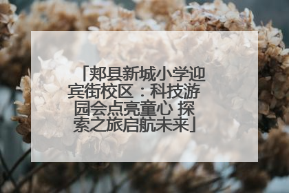 郏县新城小学迎宾街校区：科技游园会点亮童心 探索之旅启航未来