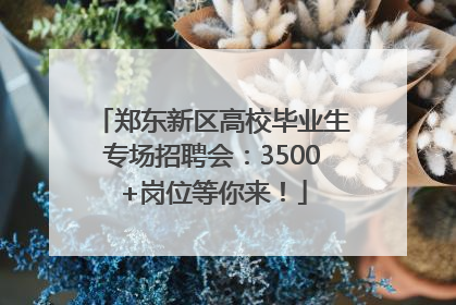 郑东新区高校毕业生专场招聘会：3500+岗位等你来！