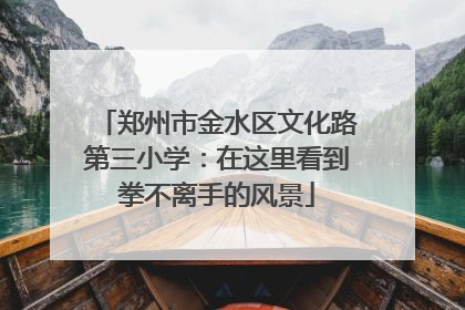 郑州市金水区文化路第三小学：在这里看到拳不离手的风景