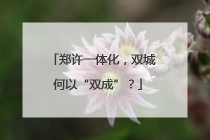 郑许一体化，双城何以“双成”？