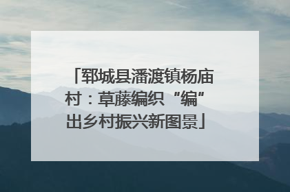 郓城县潘渡镇杨庙村：草藤编织“编”出乡村振兴新图景