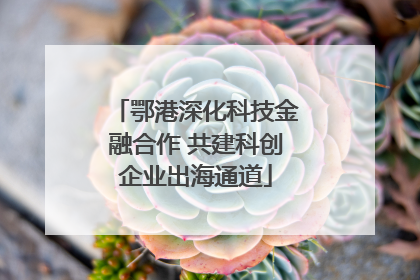 鄂港深化科技金融合作 共建科创企业出海通道