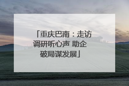 重庆巴南：走访调研听心声 助企破局谋发展