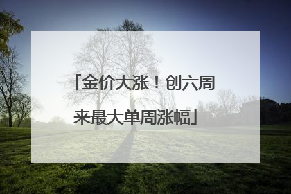 金价大涨！创六周来最大单周涨幅