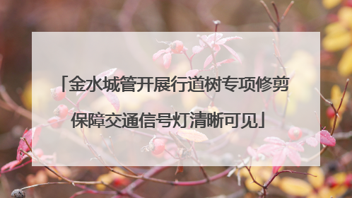 金水城管开展行道树专项修剪 保障交通信号灯清晰可见
