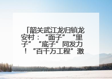 韶关武江龙归镇龙安村：“面子”“里子”“底子”同发力！“百千万工程”激活乡村新动能