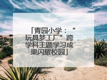 青园小学：“玩具梦工厂”跨学科主题学习成果闪耀校园