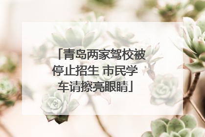 青岛两家驾校被停止招生 市民学车请擦亮眼睛