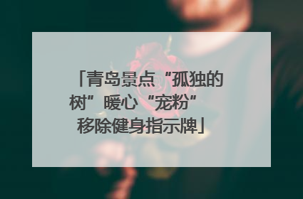 青岛景点“孤独的树”暖心“宠粉” 移除健身指示牌