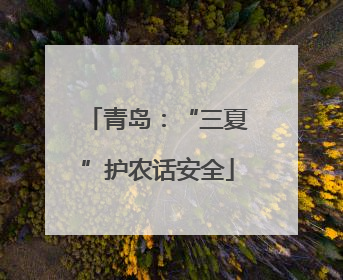 青岛：“三夏”护农话安全