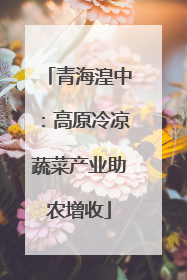 青海湟中：高原冷凉蔬菜产业助农增收