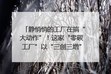 静悄悄的工厂在搞“大动作”！这家“零碳工厂”以“三创三增”探索共富新路径｜网络名人四川行