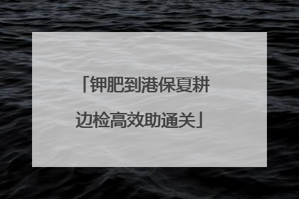 钾肥到港保夏耕 边检高效助通关